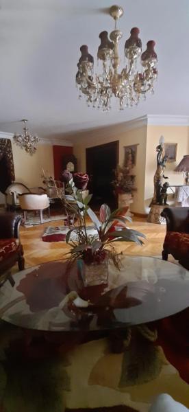 Hotels in Alexandria